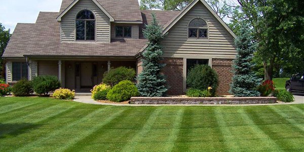 Your lawn and landscape
the way that it should